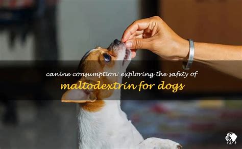 maltodextrin and dogs